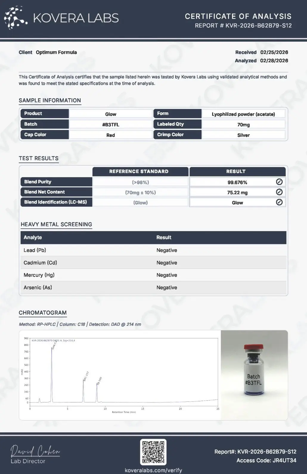 Lab report 9