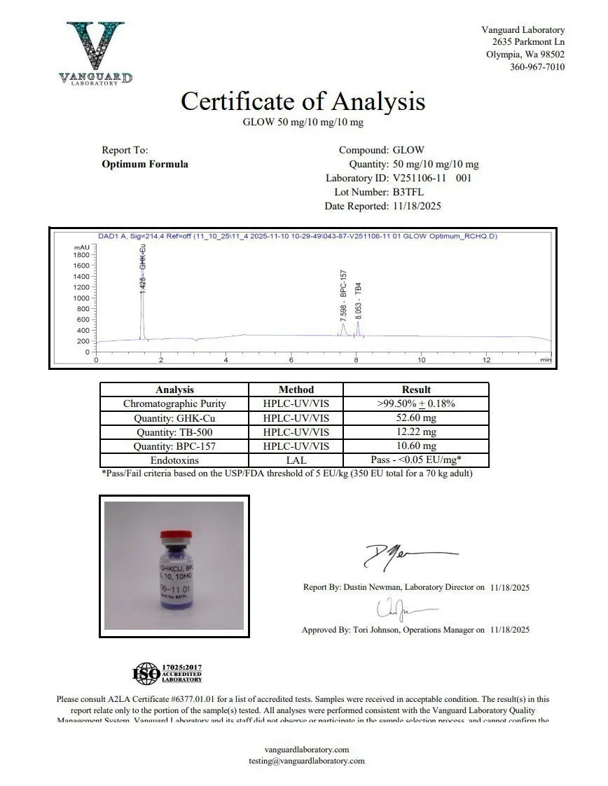 Lab report 10